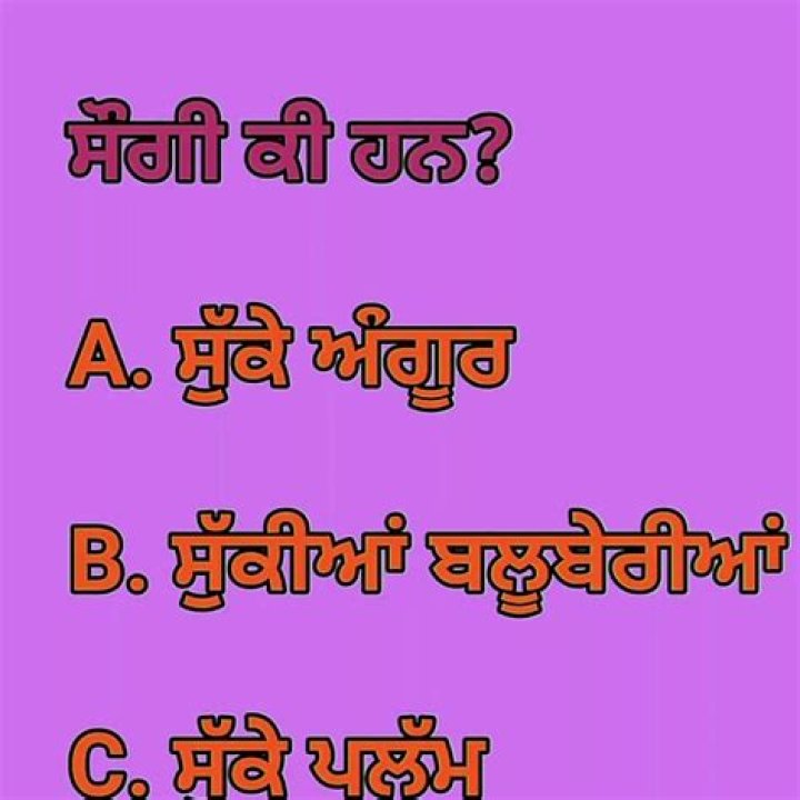 Funny Bujartan in Punjabi with Answer PDF