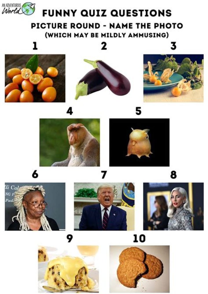 Funny Picture Quiz with Answers PDF Free – Laugh Out Loud!