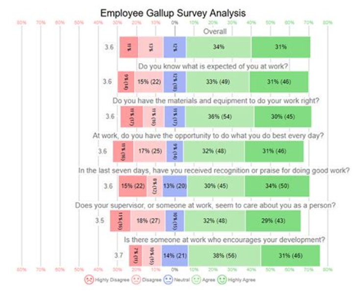 Gallup 12 Questions PDF: Instant Insights for Survey Success