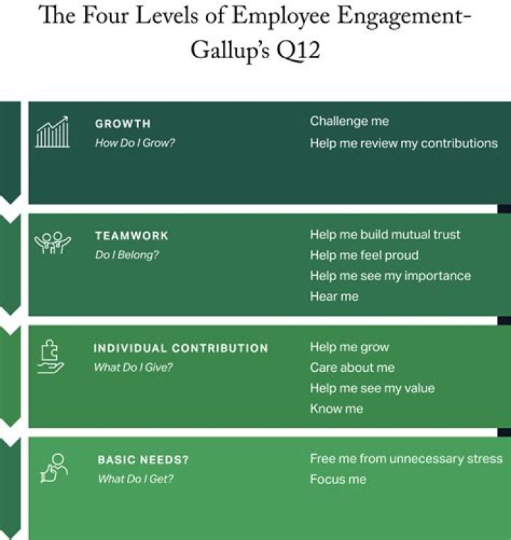 Gallup Q12 Survey Questions and Answers PDF – Essential Guide