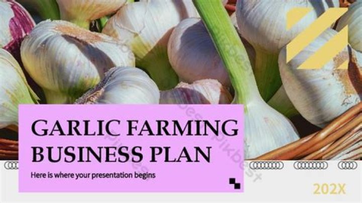 Garlic Business Plan PDF: Start Profitable Garlic Farming Today