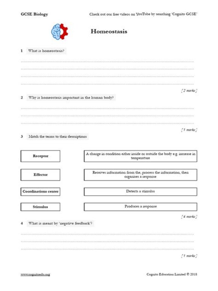 GCSE Biology Worksheets PDF for Revision & Exam Success