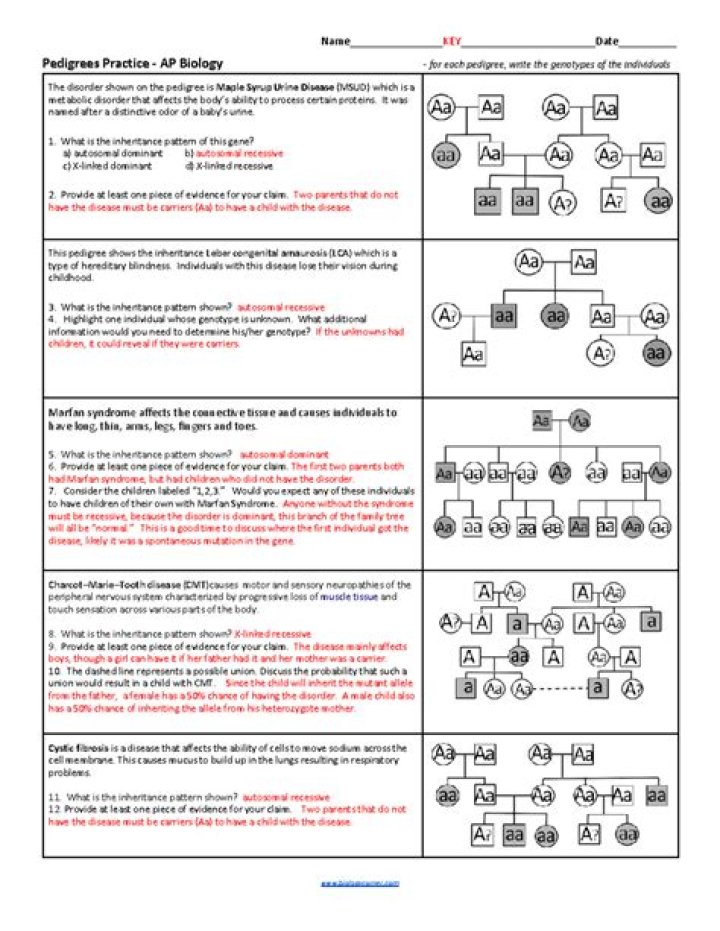 Genetic Algorithm Questions and Answers PDF: Expert Guide
