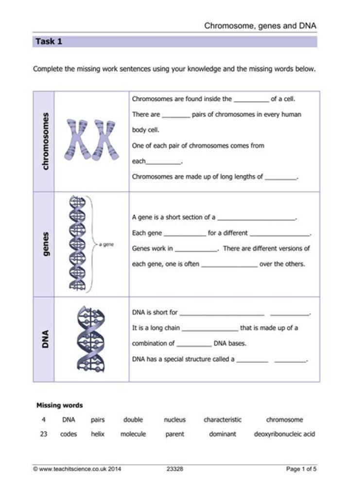 Genetic Code Questions and Answers PDF: Expert Answers Explained