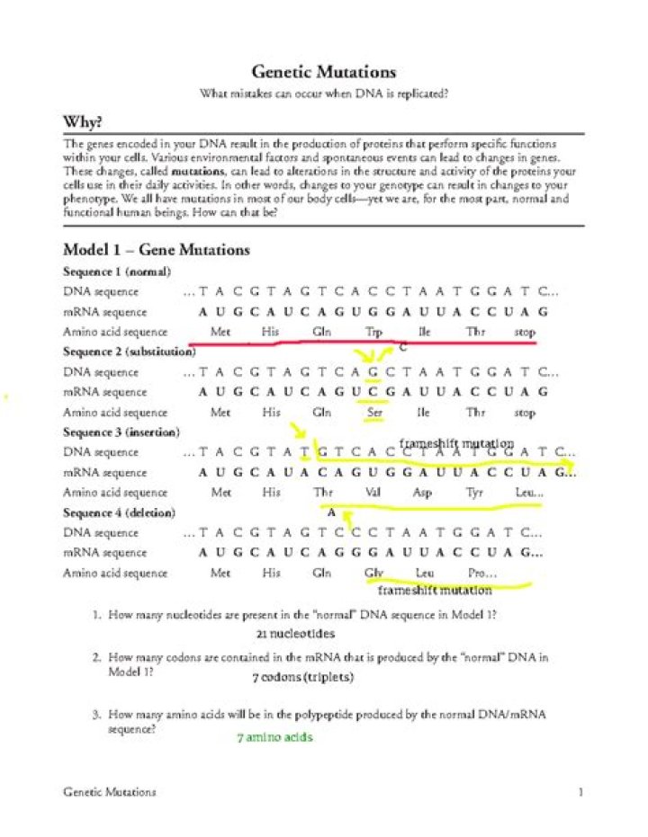 Genetic Mutation Answer Key PDF – Instant Access to Accurate Answers