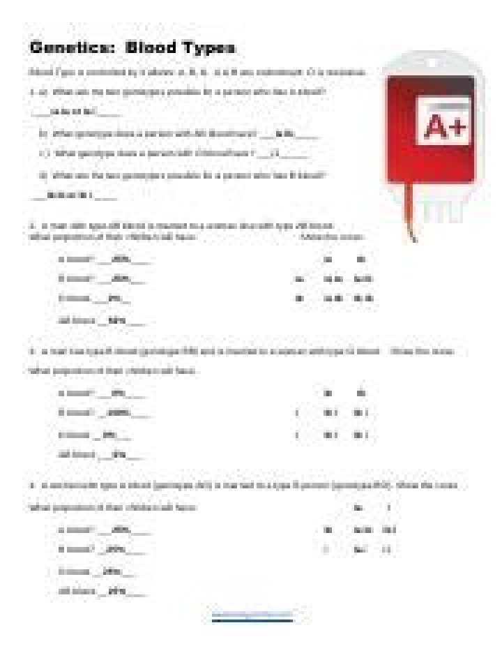 Genetics Blood Types Worksheet Answer Key PDF – Instant Download