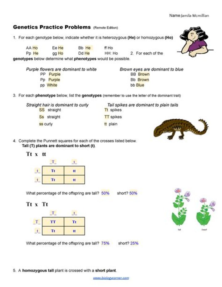 Genetics MCQs with Answers PDF – Study Guide & Practice Questions