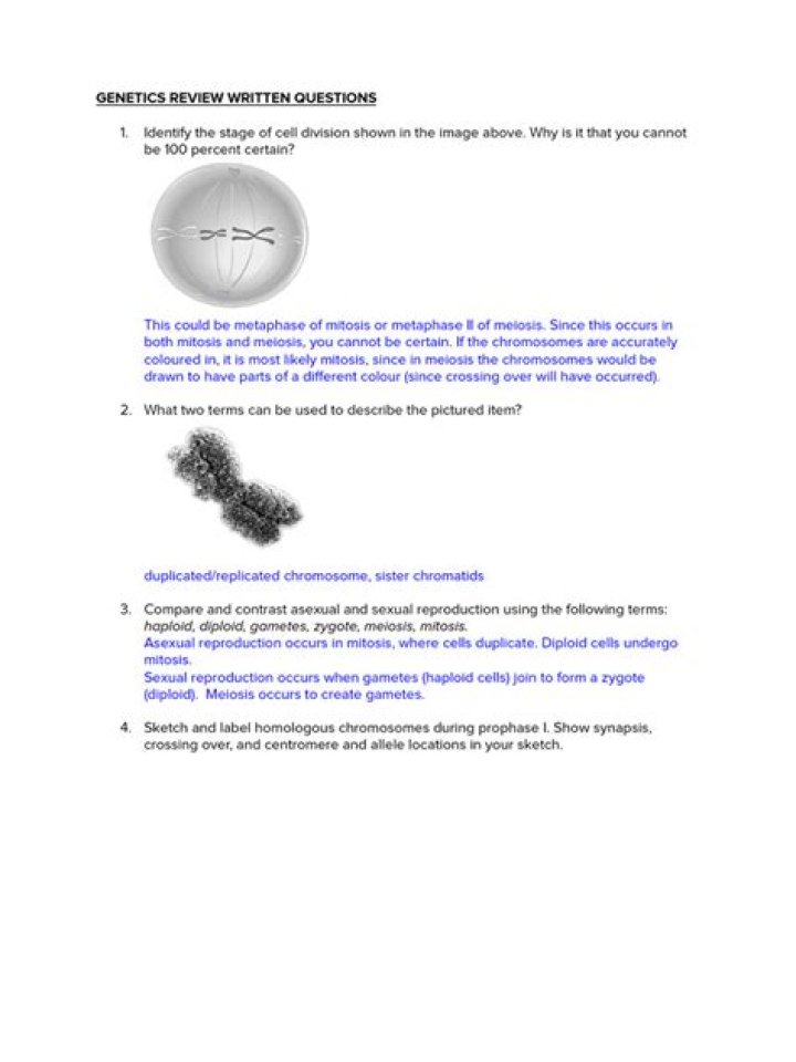 Genetics Test Review Answer Key PDF – Expert Analysis & Answers