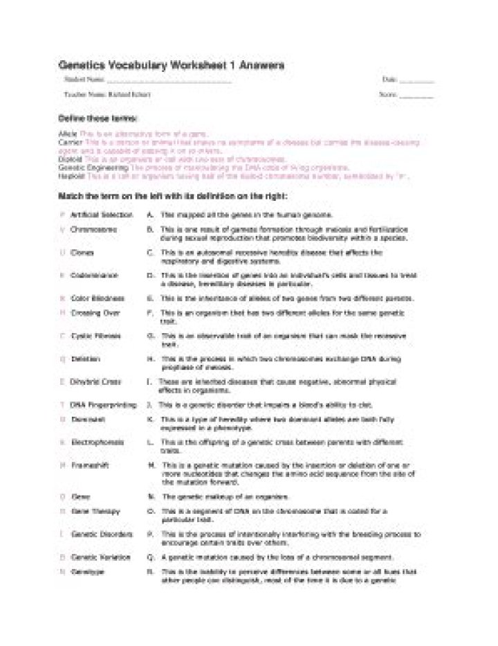Genetics Vocabulary Matching Worksheet PDF Answer Key