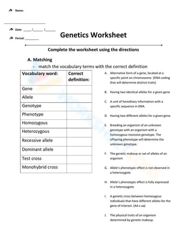 Free Genetics Worksheet PDF Answers – Instant Download