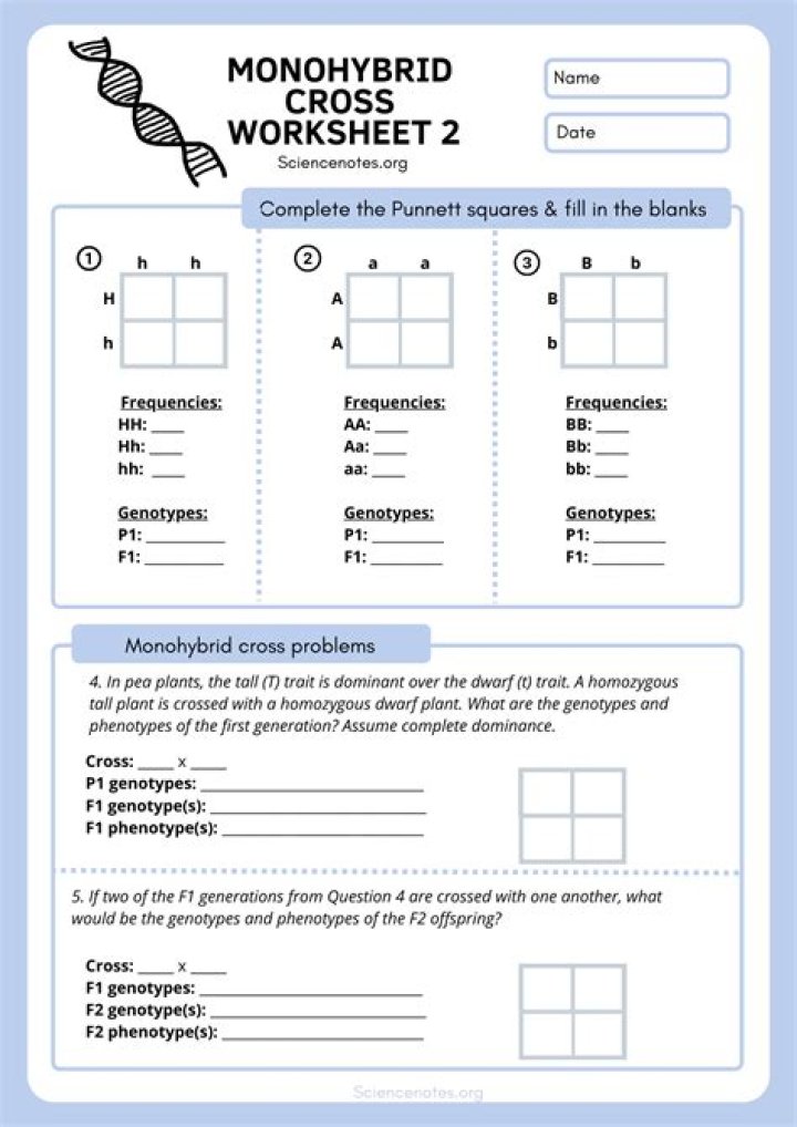 Genetics Worksheets PDF: Free Educational Resources for Students & Teachers