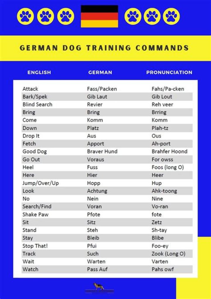 German Dog Commands List PDF: Essential Commands for Training Your German Dog