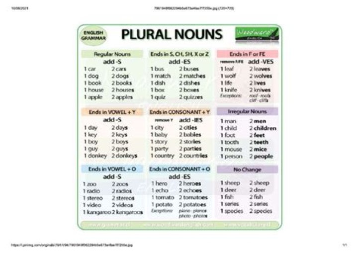 German Plural Nouns List PDF – Complete Guide & Examples