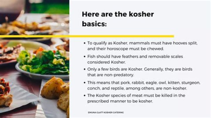 Germany Kosher List PDF: Complete Guide to Certified Kosher Food Sources