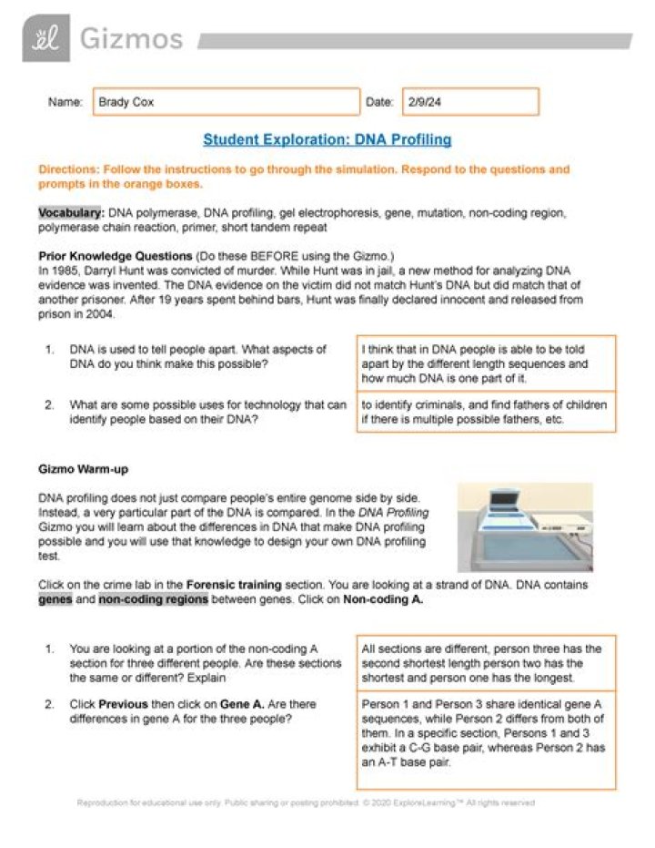 Gizmos DNA Profiling Answer Key PDF – Free Download