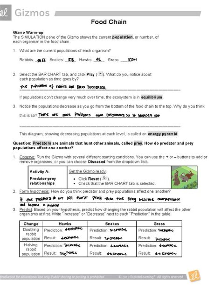 Gizmos Food Chain Answer Key PDF – Instant Download