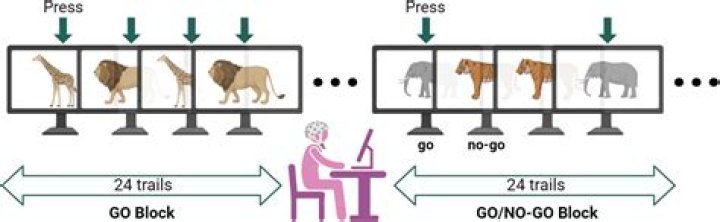 Go/No-Go Test PDF: Decide Now Whether to Proceed
