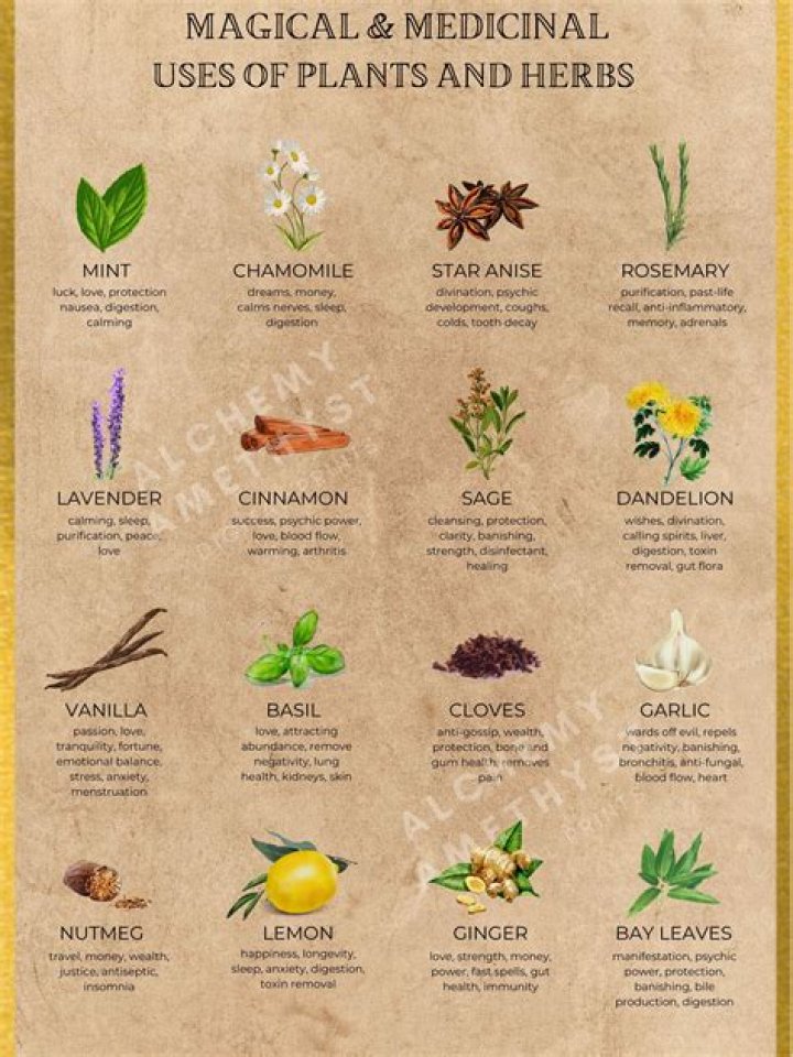 Goat Medicine List & Uses: Essential PDF Guide for Farmers