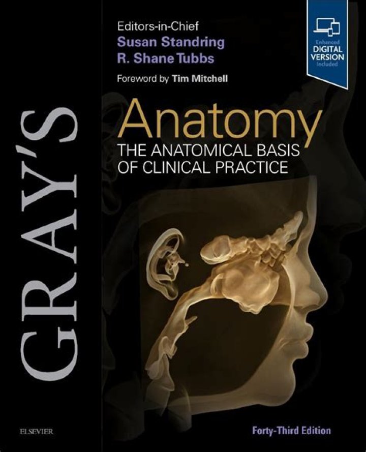Gray's Anatomy Practice Questions PDF: Master Medical Anatomy with Expert Practice
