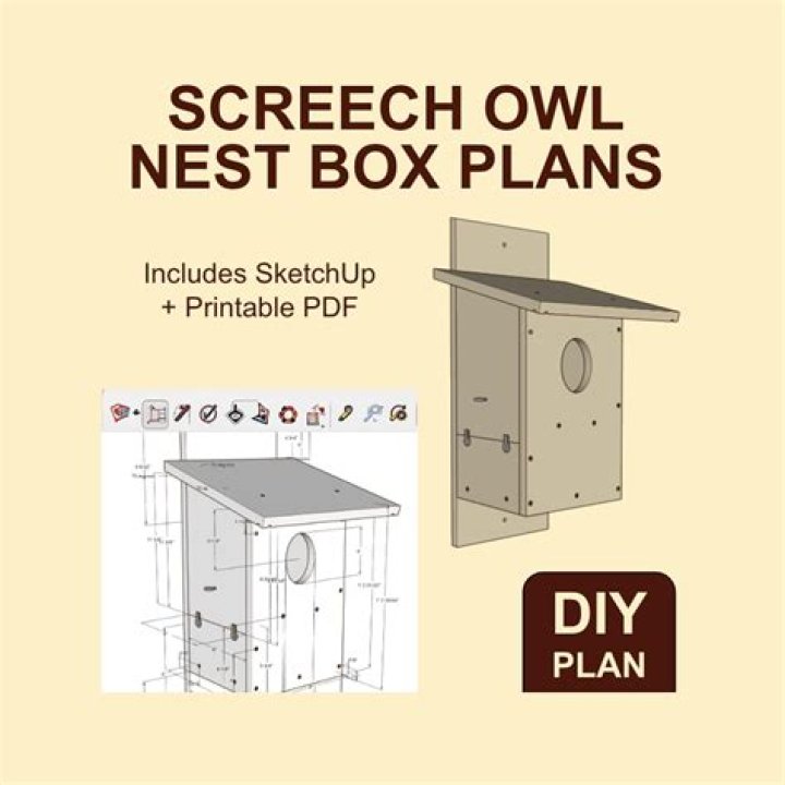 Build Your Great Horned Owl Box with Free PDF Plans