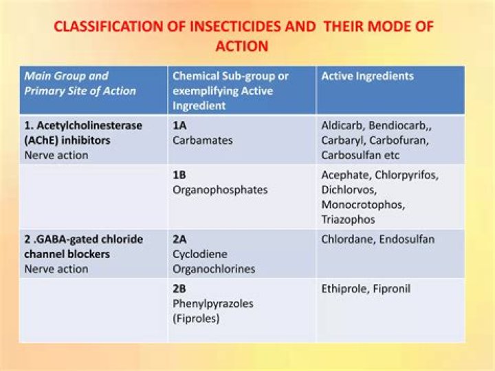 Group 28 Insecticide List PDF – Safe & Effective Pest Control Options