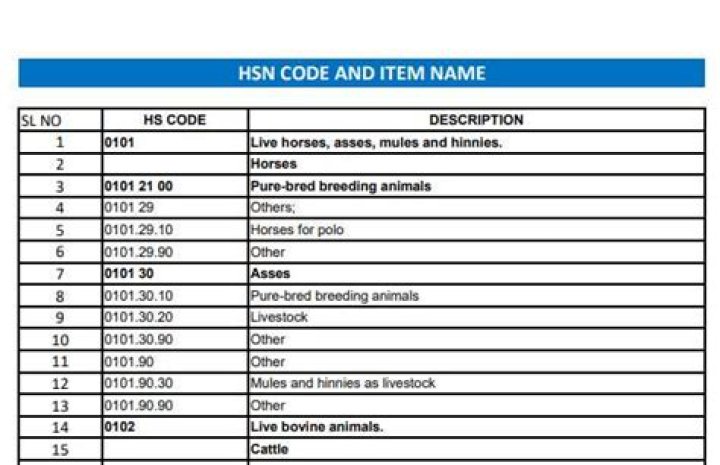 Complete GST HSN Code List PDF – Easily Downloadable