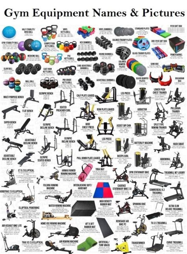 Gym Equipment Price List PDF – Compare Costs & Buy Affordably