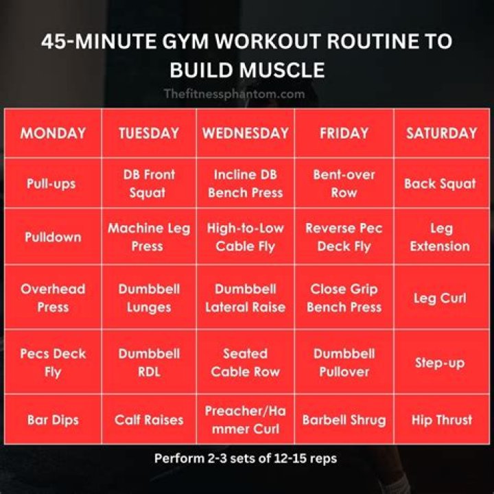 Complete Full Body Gym Workout Plan PDF for Strength & Fitness