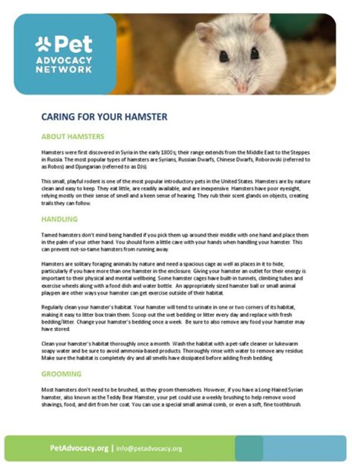 Hamster Care Sheet PDF: Essential Guide for Perfect Pet Ownership