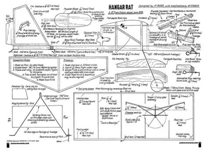 Hangar Rat Infestation Plans PDF: Comprehensive Control Guide