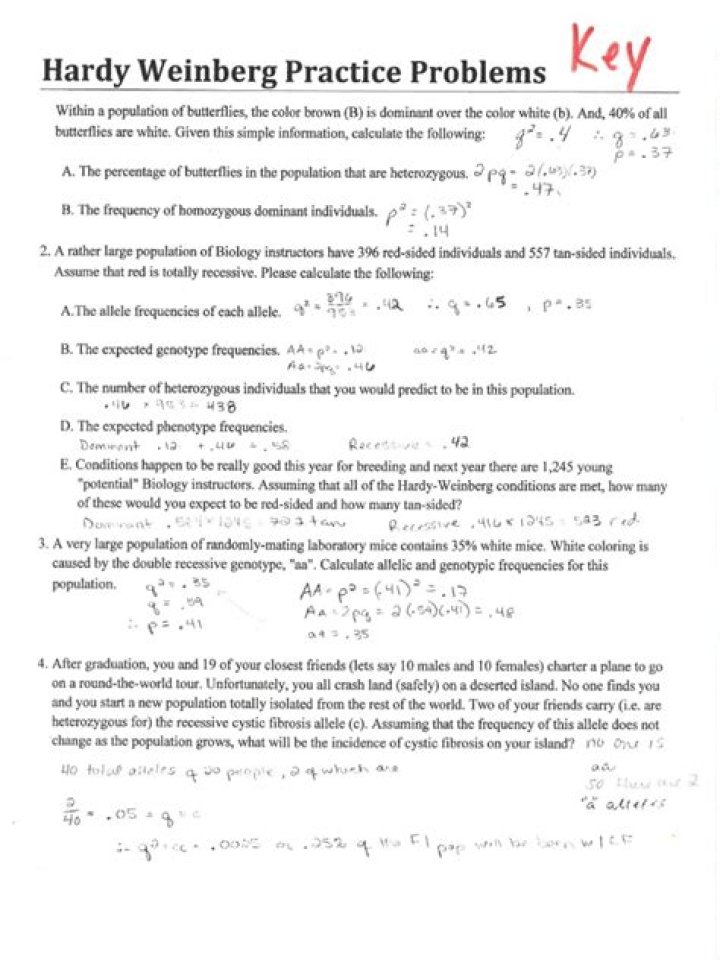 Hardy Weinberg Equilibrium Practice Problems with Answers PDF – Free Study Guide