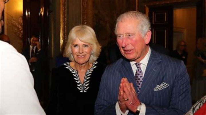 Harry accuses Camilla of leaking royal information to the media