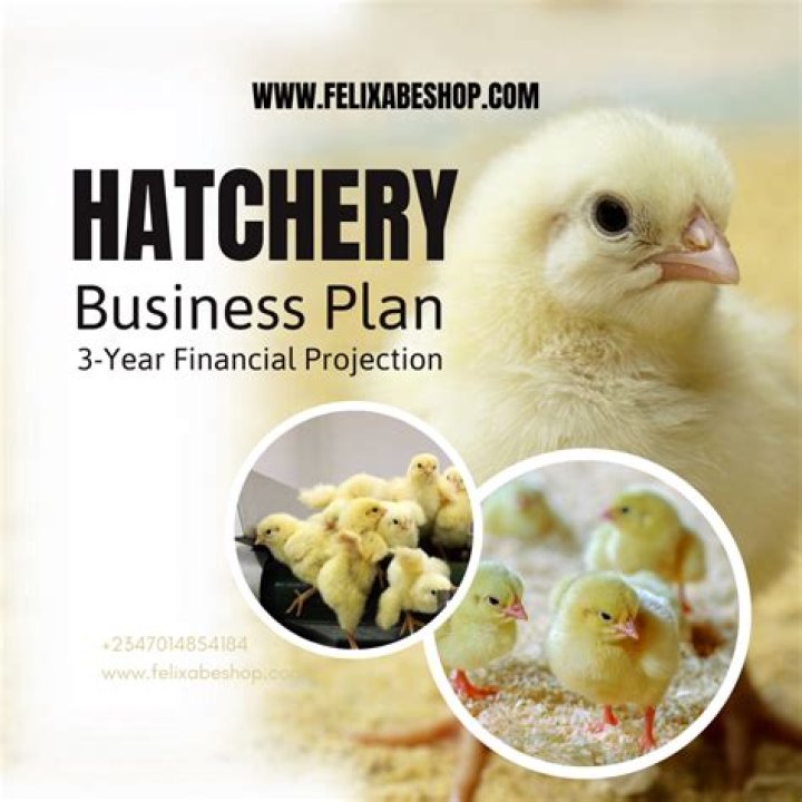 Hatchery Business Plan PDF: Step-by-Step Guide to Launching Your Poultry Business