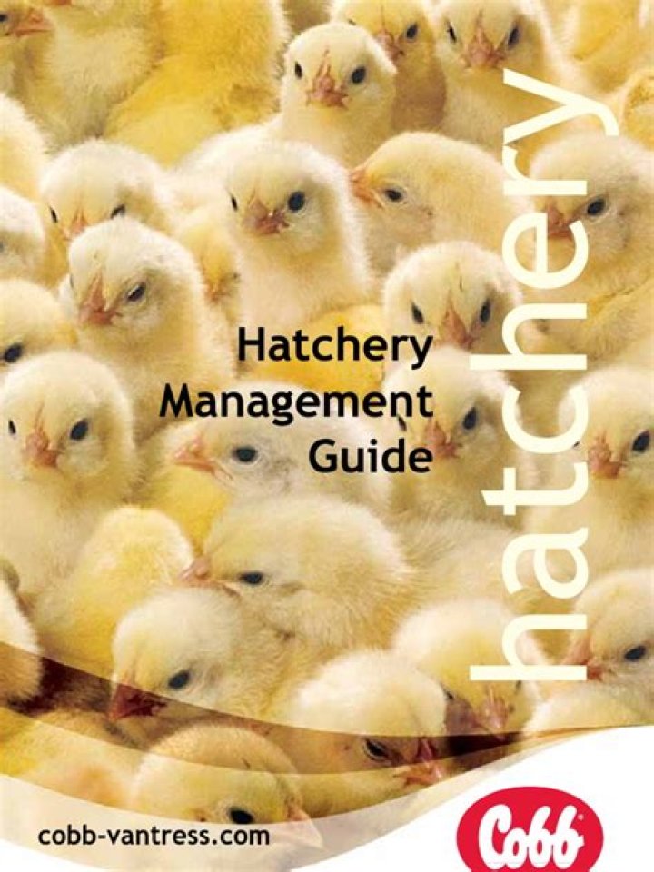 Hatchery Management Guide PDF: Expert Tips for Success