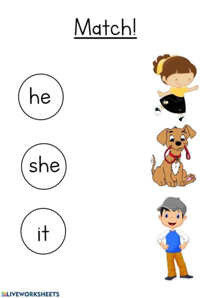 Free He She It Worksheet for Kindergarten PDF – Easy Matching Activity