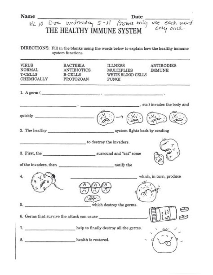 Health Worksheets for High School PDF – Free Printable Study Tools