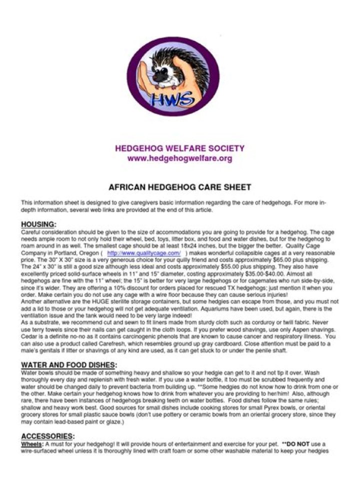 Essential Hedgehog Care Sheet PDF – Complete Guide