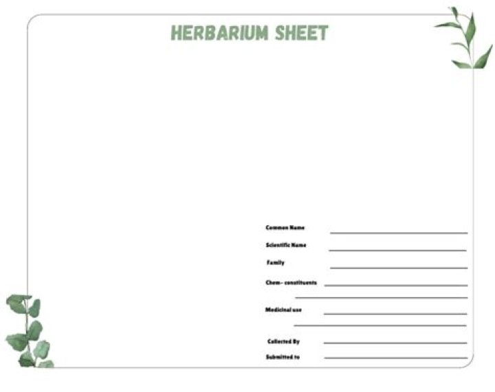 Free Herbarium Sheet PDF – Download High-Quality Plant Specimen Records