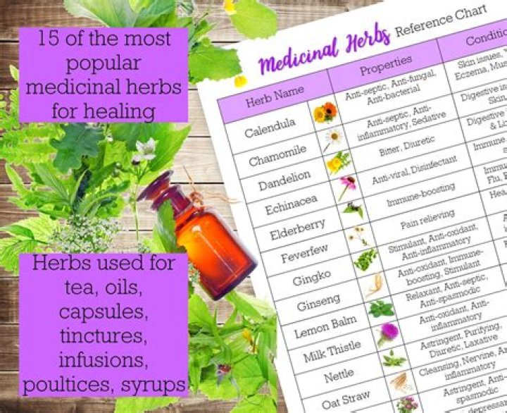 Complete Herbs List A-Z PDF – Download Free Herbal Reference