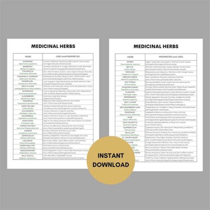 Complete Herbs List PDF for Home Gardening
