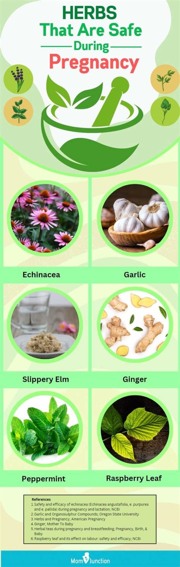 Safe Herbs to Avoid During Pregnancy: Essential PDF List