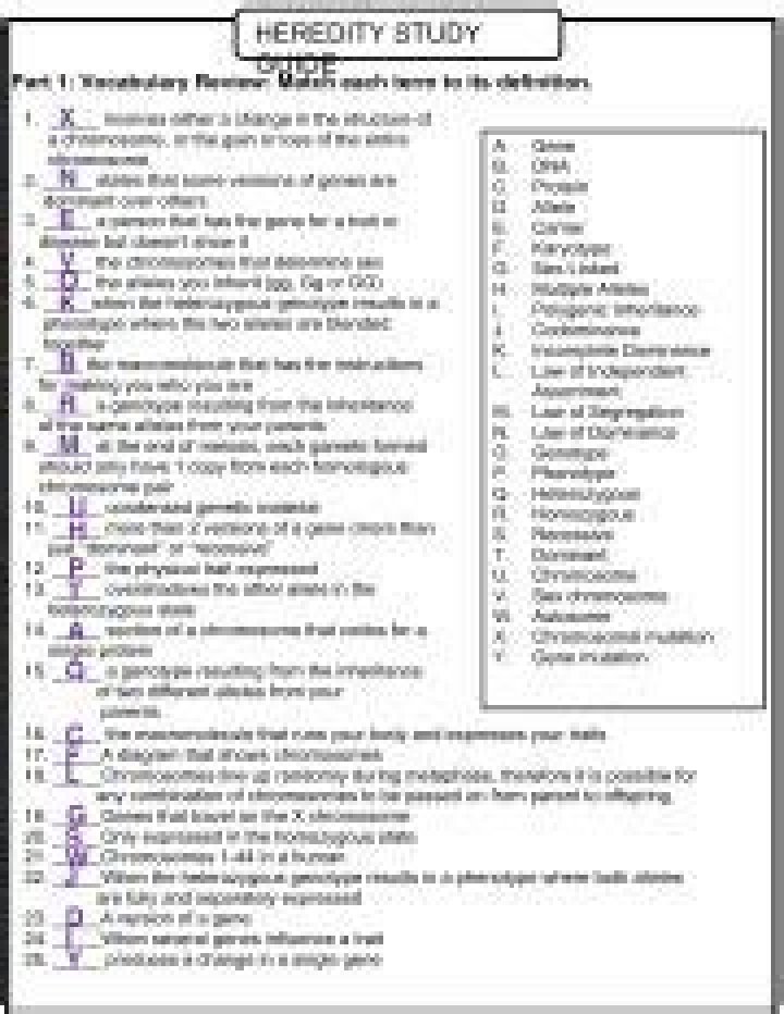 Heredity Study Guide Answer Key PDF – Full Solution Book