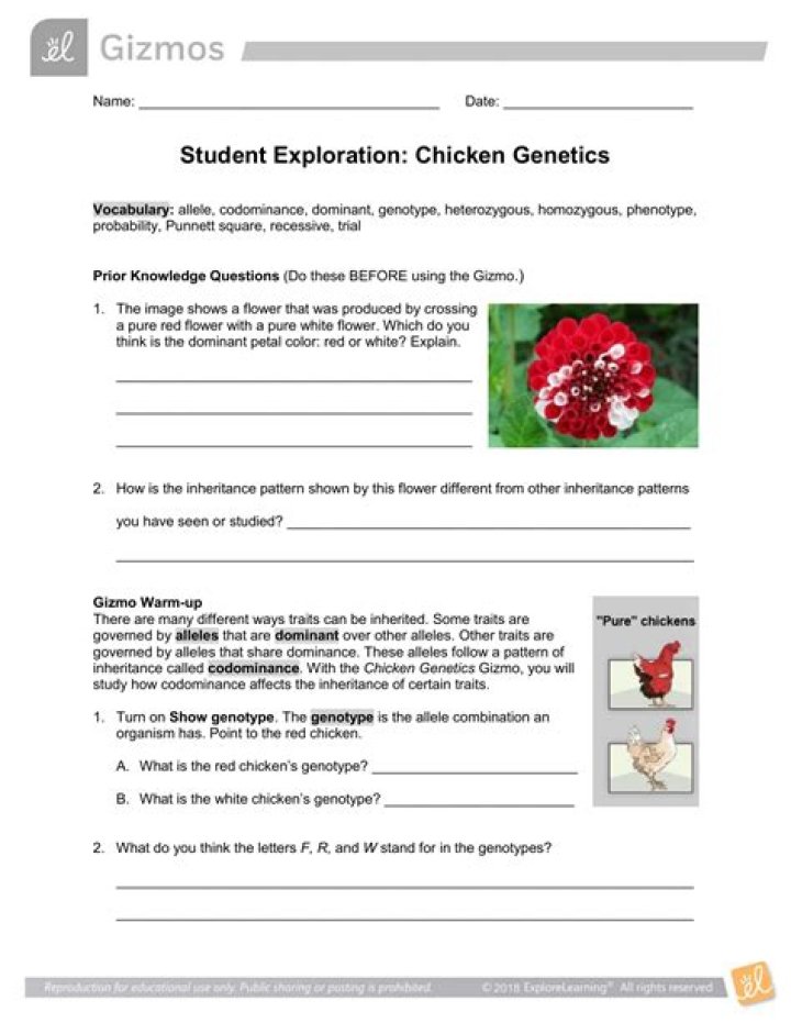 Herschel Experiment Gizmo Answer Key PDF – Solve Like a Pro