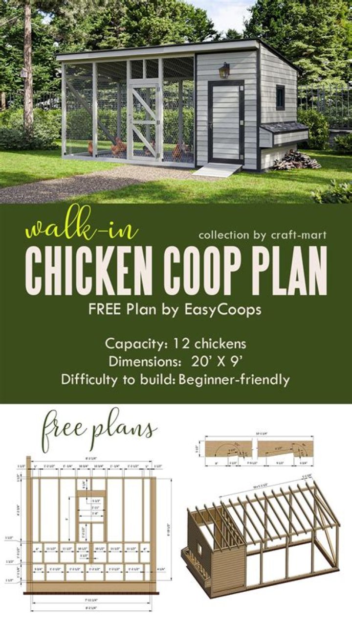 HGTV-Inspired Chicken Coop Plans PDF – Build Your Own Backyard Hen House