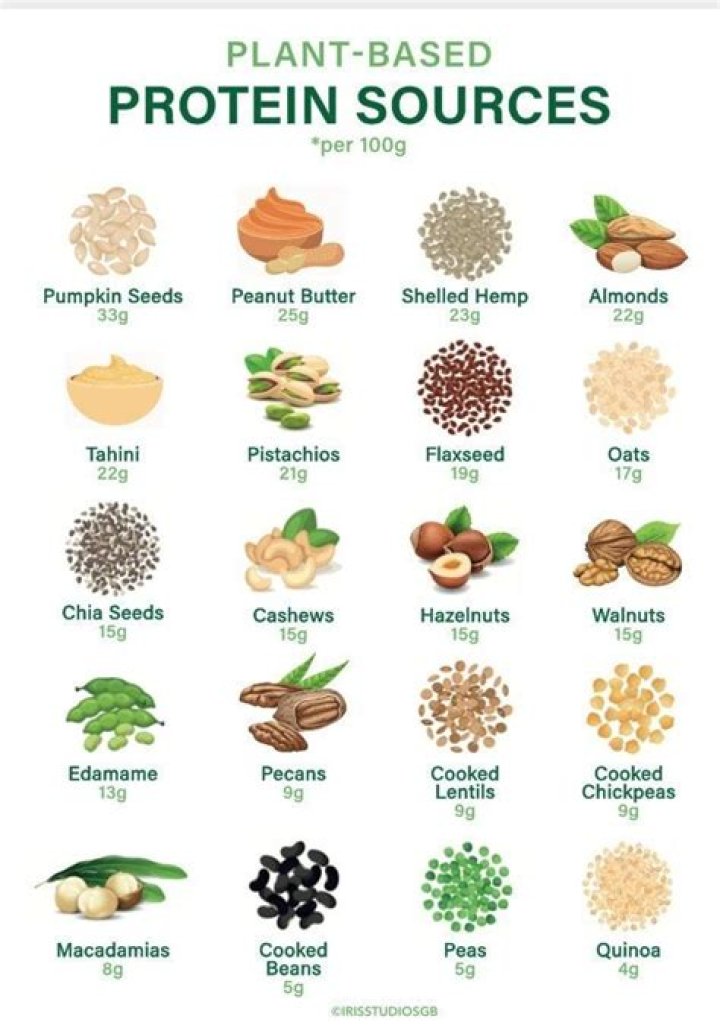 Top High Protein Plant Foods List PDF for Healthy Eating