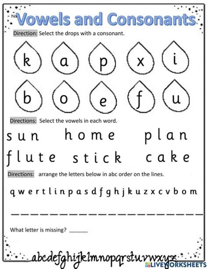 Hindi Vowels and Consonants Worksheets PDF – Perfect for Language Learners