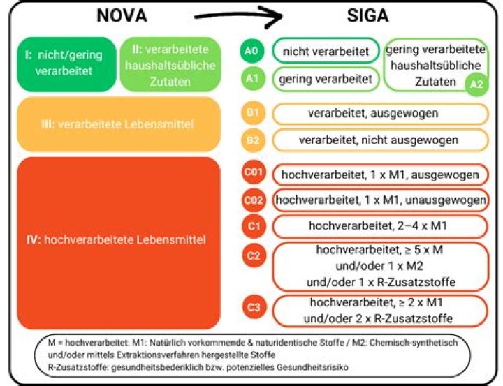 Hochverarbeitete Lebensmittel Liste PDF: Übersicht & Vergleich