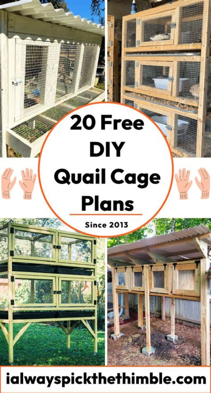 Build Your Own Quail Cage: Free Homemade Plans PDF