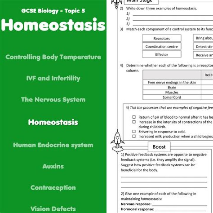 Homeostasis Questions & Answers PDF for IGCSE Students