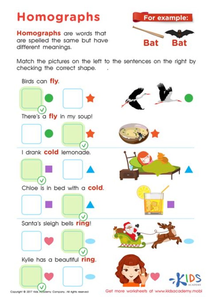 Homographs Worksheet PDF: Master Word Meanings & Spellings